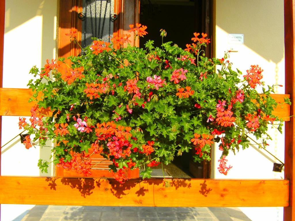 B&B Le Petit Normand Jalhay Buitenkant foto